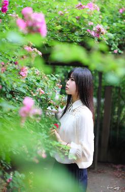 冰雪尖刀连 电视剧 在线观看